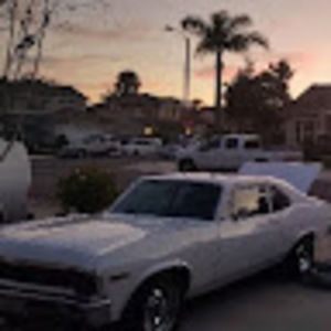 Meet your Posher, Holly